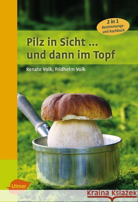 Pilz in Sicht ... und dann im Topf : 2 in 1: Bestimmungs- und Kochbuch Volk, Renate; Volk, Fridhelm 9783818600181 Verlag Eugen Ulmer - książka