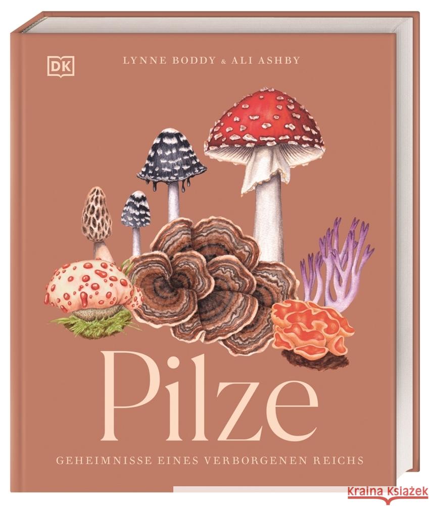 Pilze Ashby, Ali, Boddy, Lynne 9783831049721 Dorling Kindersley Verlag - książka