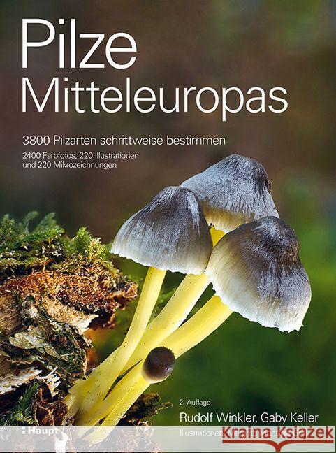 Pilze Mitteleuropas Winkler, Rudolf, Keller, Gaby 9783258083889 Haupt - książka