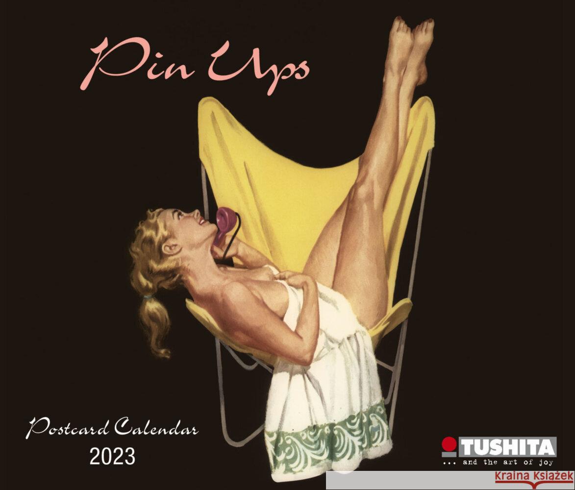 Pin Ups 2023  9783959291873 Tushita - książka