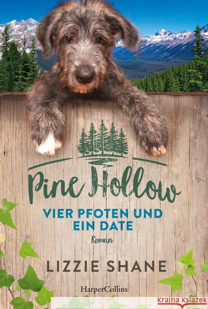 Pine Hollow - Vier Pfoten und ein Date Shane, Lizzie 9783749903672 HarperCollins Hamburg - książka