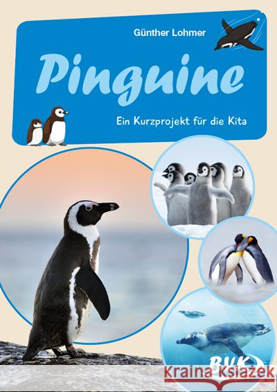 Pinguine Lohmer, Günther 9783965201699 BVK Buch Verlag Kempen - książka