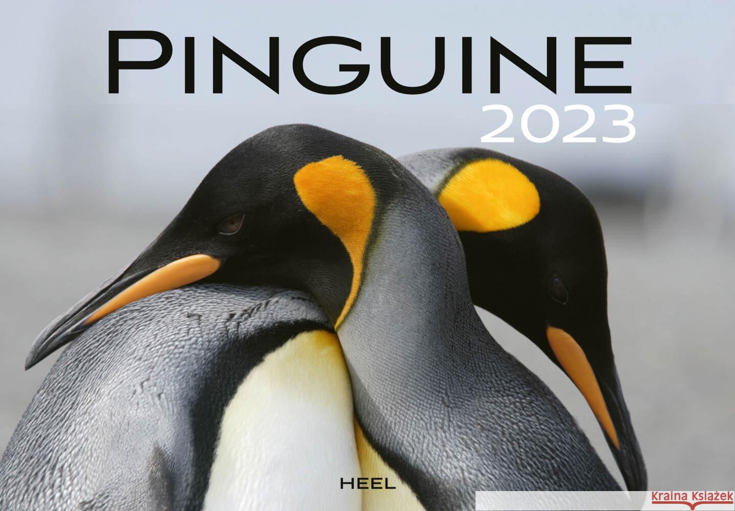 Pinguine 2023  9783966644471 Heel Verlag - książka