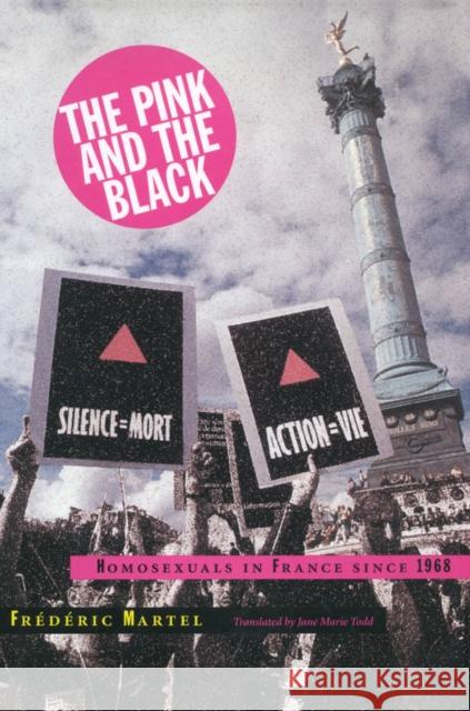 Pink and the Black: Homosexuals in France Since 1968 Martel, Frédéric 9780804732734 Stanford University Press - książka