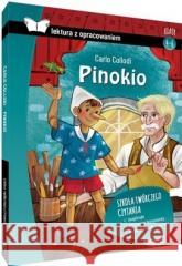 Pinokio z opracowaniem TW SBM Carlo Collodi 9788382222180 SBM - książka