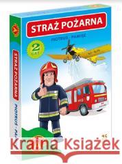 Piotruś Pamięć - straż pożarna ALEX  5906018026115 Alexander - książka