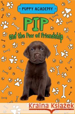 Pip and the Paw of Friendship Gill Lewis Sarah Horne 9781250092854 Henry Holt & Company - książka