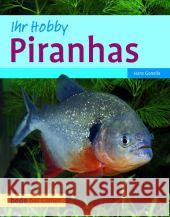 Piranhas Gonella, Hans   9783800167548 Ulmer (Eugen) - książka