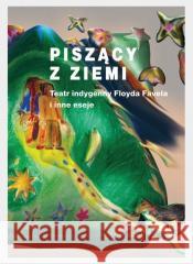 Piszący z ziemi red. Aneta Głowacka. Eugenia Sojka 9788381831185 Śląsk - książka