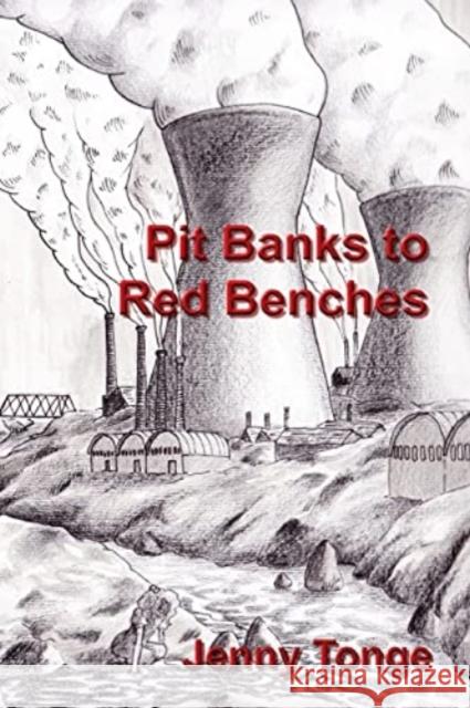 Pit Banks to Red Benches: From the Black Country to the Lords Jenny Tonge Ted Smith Caroline Blomfield 9781919630809 Louisa Publications - książka