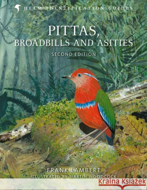 PITTAS AND BROADBILLS Frank Lambert 9781472905697 BLOOMSBURY ACADEMIC - książka
