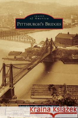 Pittsburgh's Bridges Todd Wilson Pe, Helen Wilson 9781531678289 Arcadia Publishing Library Editions - książka