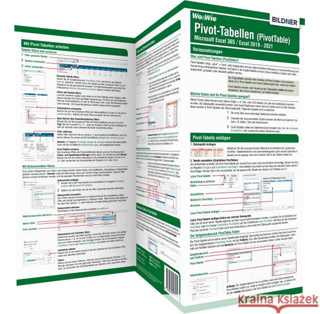 Pivot-Tabellen (PivotTable) Microsoft Excel 365 / Excel 2019 - 2021 Baumeister, Inge 9783832806576 BILDNER Verlag - książka