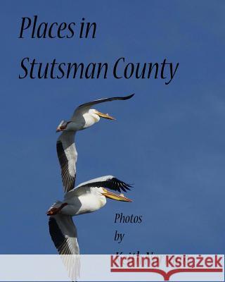 Places in Stutsman County MR Keith Norman MR Keith Norman 9781517247485 Createspace - książka