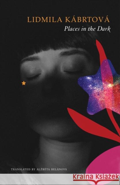 Places in the Dark: Short Stories Lidmila Kabrtova 9781803095035 Seagull Books - książka
