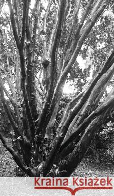 Places of the Heart: Designing for Ecstatic Bliss & Progressive Evolution Chas Poor Nicole Poor 9780998822907 SPA Books, Ltd. (UK) - książka