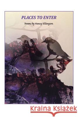 Places to Enter Nancy Ellingson 9781543432244 Xlibris - książka