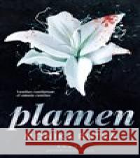 Plamen Monika Rutka 9788027722808 Red - książka