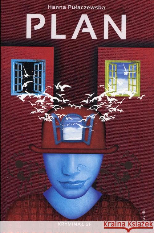Plan Pułaczewska Hanna 9783981696004 Sprachlit - książka