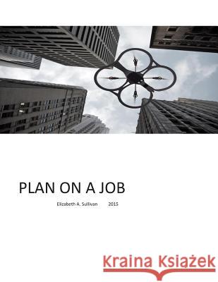 Plan on a Job: Short article on creating jobs that do not exist Sullivan, Elizabeth a. 9781512207750 Createspace Independent Publishing Platform - książka