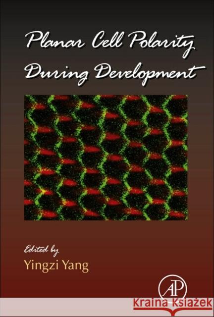 Planar Cell Polarity During Development: Volume 101 Yang, Yingzi 9780123945921 ACADEMIC PRESS - książka