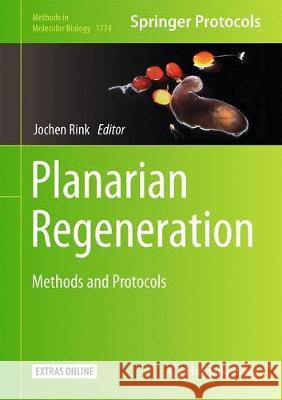 Planarian Regeneration: Methods and Protocols Rink, Jochen C. 9781493978007 Humana Press - książka