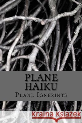 Plane Haiku Plane Ignerints 9781519391643 Createspace - książka