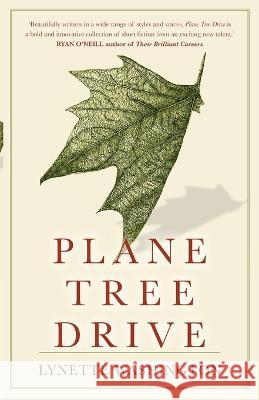 Plane Tree Drive Lynette Washington 9781925227345 Midnightsun Publishing Pty Ltd - książka