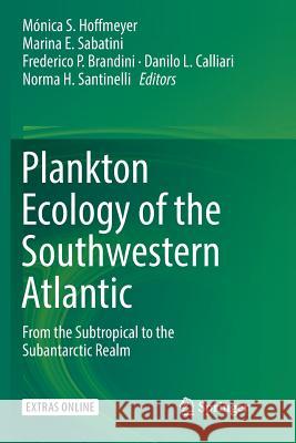 Plankton Ecology of the Southwestern Atlantic: From the Subtropical to the Subantarctic Realm Hoffmeyer, Mónica S. 9783030085605 Springer - książka