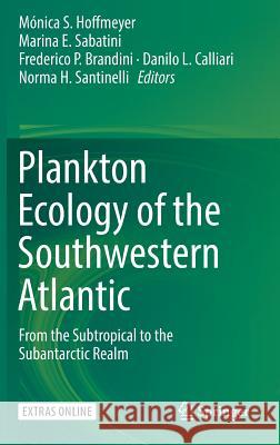 Plankton Ecology of the Southwestern Atlantic: From the Subtropical to the Subantarctic Realm Hoffmeyer, Mónica S. 9783319778686 Springer - książka