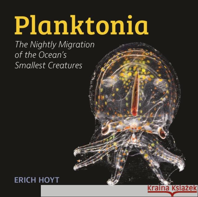 Planktonia: The Nightly Migration of the Ocean's Smallest Creatures Erich Hoyt 9780228103837 Firefly Books Ltd - książka