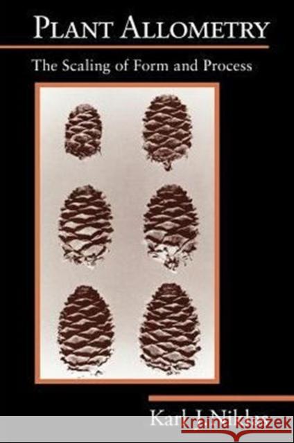 Plant Allometry: The Scaling of Form and Process Niklas, Karl J. 9780226580814 University of Chicago Press - książka