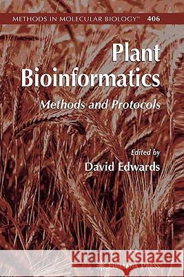 Plant Bioinformatics: Methods and Protocols Edwards, David 9781617376979 Springer - książka