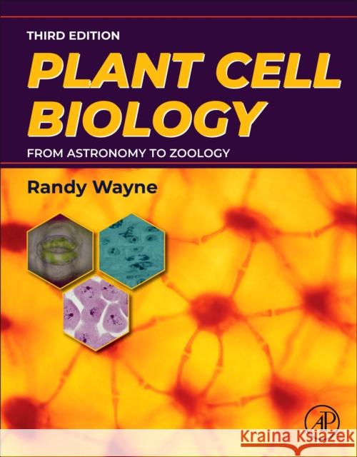 Plant Cell Biology: From Astronomy to Zoology Randy O. Wayne 9780443214691 Elsevier Science Publishing Co Inc - książka