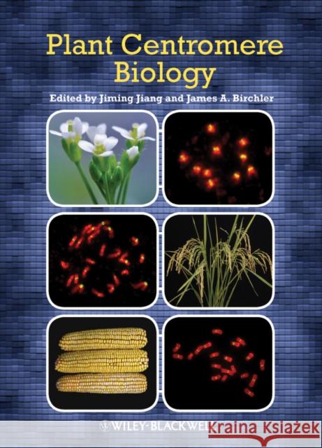 Plant Centromere Biology Jiming Jiang James A. Birchler 9781119949213 Wiley-Blackwell - książka