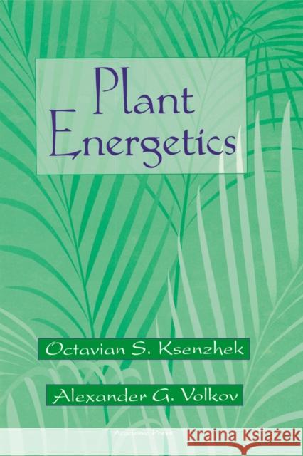 Plant Energetics Octavian S. Ksenzhek O. S. Ksenzhek Alexander G. Volkov 9780124273504 Academic Press - książka