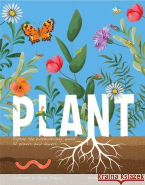 Plant: Explore the Extraordinary World of Plants and Flowers Griffin, Annabel 9781915461186 Hungry Tomato Ltd - książka