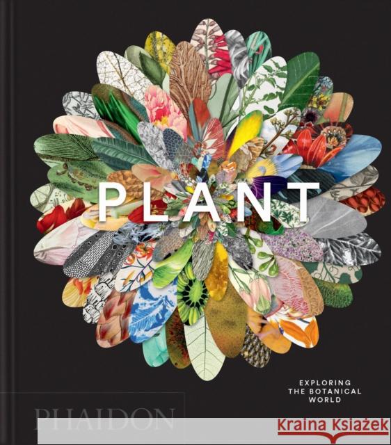 Plant: Exploring the Botanical World Phaidon Editors 9781837291472 Phaidon Press - książka