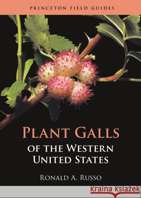 Plant Galls of the Western United States Ronald A. Russo 9780691205762 Princeton University Press - książka