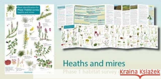 Plant identification for Phase 1 habitat survey: heaths and meres Mark Duffell 9781908819338 Field Studies Council - książka