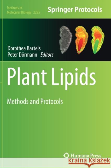 Plant Lipids: Methods and Protocols Dorothea Bartels Peter D 9781071613610 Humana - książka