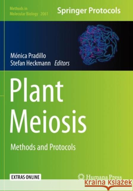 Plant Meiosis: Methods and Protocols Pradillo, Mónica 9781493998203 Springer New York - książka