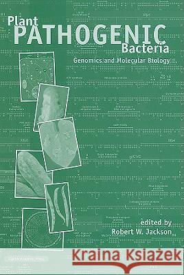 Plant Pathogenic Bacteria: Genomics and Molecular Biology Robert Jackson 9781904455370 Caister Academic Press - książka