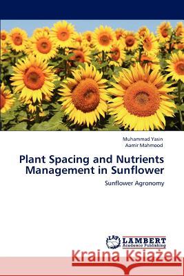 Plant Spacing and Nutrients Management in Sunflower Muhammad Yasin Aamir Mahmood  9783847331155 LAP Lambert Academic Publishing AG & Co KG - książka