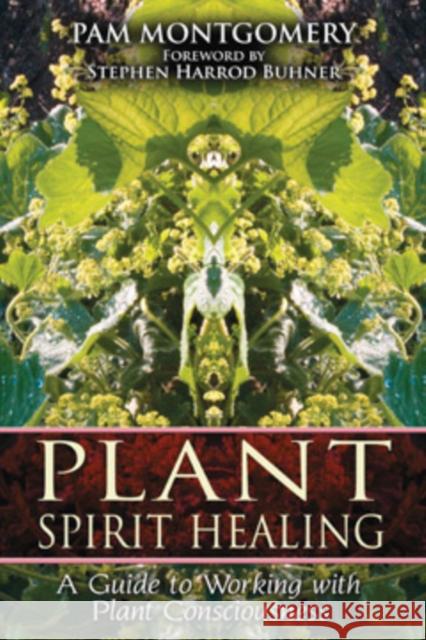 Plant Spirit Healing: A Guide to Working with Plant Consciousness Montgomery, Pam 9781591430773 Inner Traditions Bear and Company - książka