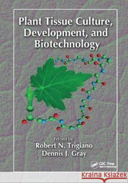 Plant Tissue Culture, Development, and Biotechnology  9781138416024 Taylor and Francis - książka