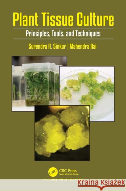 Plant Tissue Culture: Theory and Practical Approach Mahendra Rai 9781032629476 CRC Press - książka