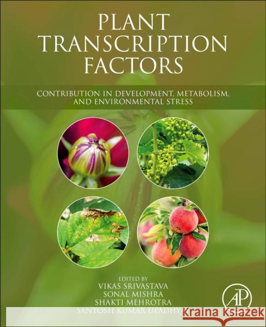 Plant Transcription Factors: Contribution in Development, Metabolism, and Environmental Stress Vikas Srivastava Sonal Mishra Santosh Kumar Upadhyay 9780323906135 Academic Press - książka