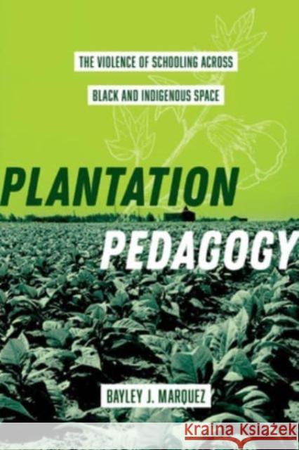 Plantation Pedagogy: The Violence of Schooling across Black and Indigenous Space Bayley J. Marquez 9780520393707 University of California Press - książka