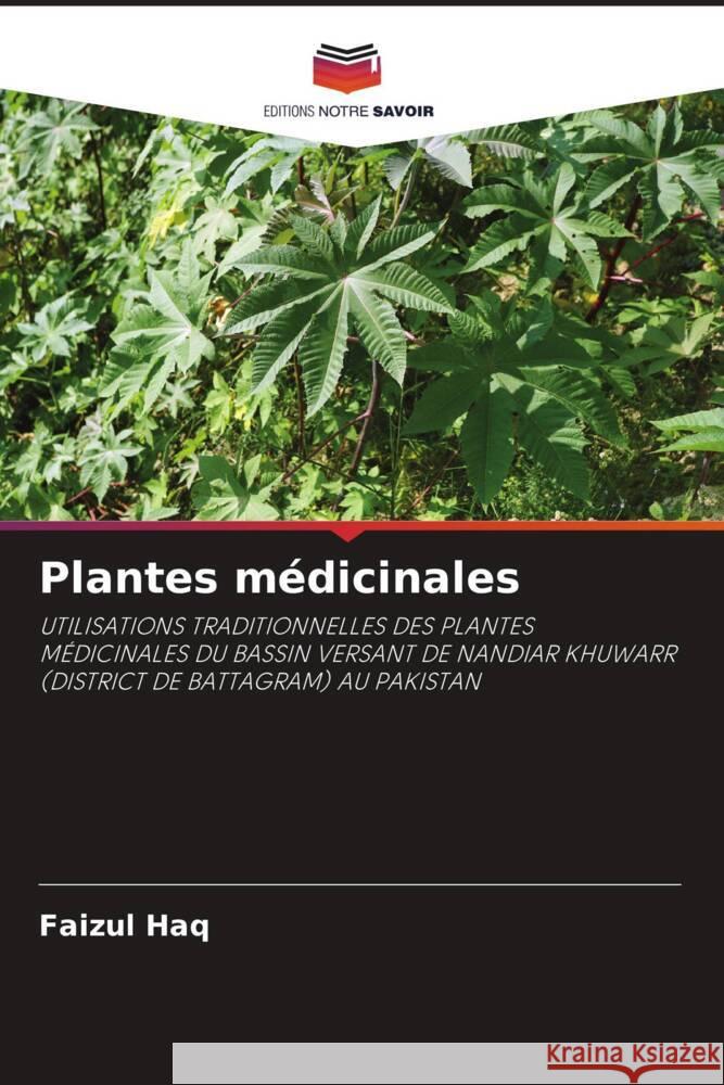 Plantes médicinales Haq, Faizul 9786204816944 Editions Notre Savoir - książka